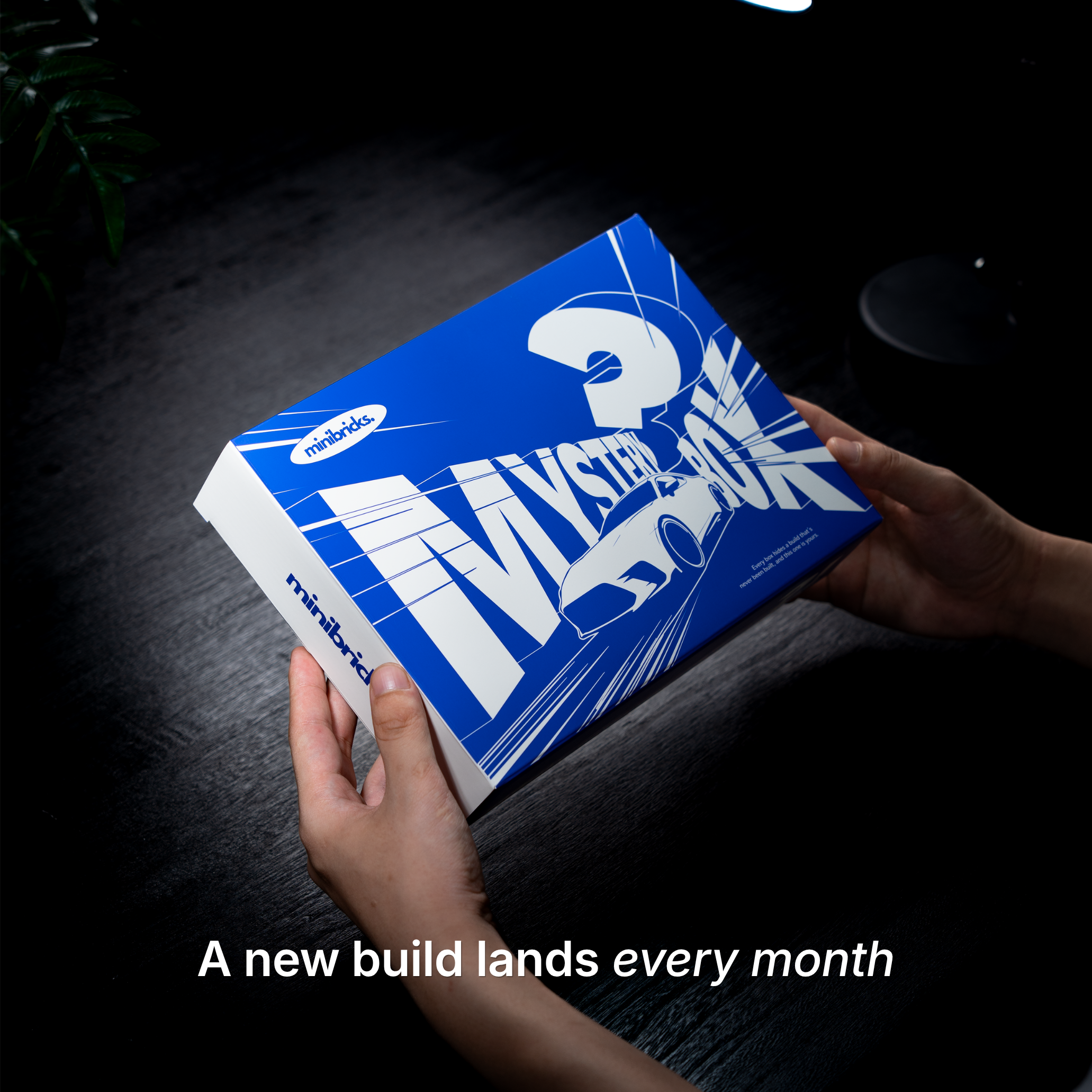 Mystery Car Subscription