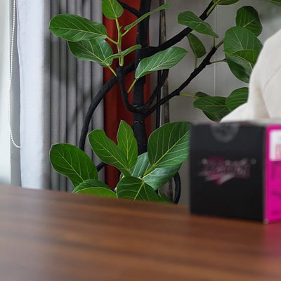 1087x Drift Team R32